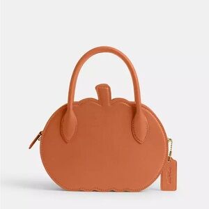 Coach Pumpkin Crossbody